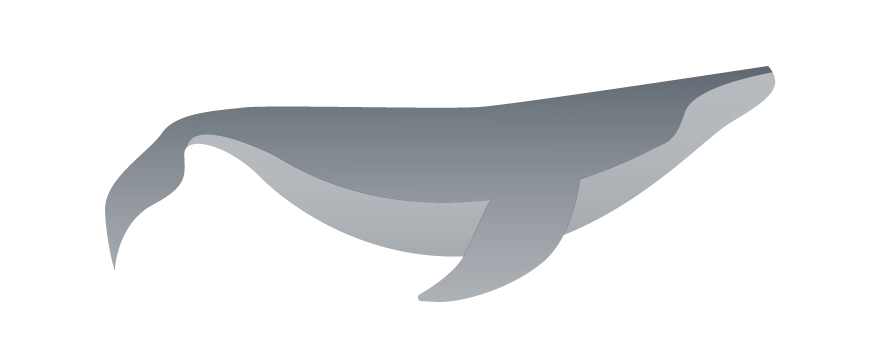 whale--bg